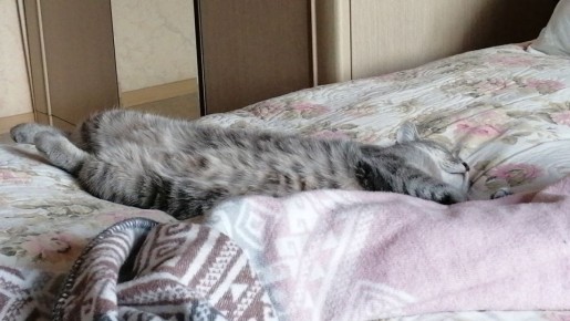 ���������, ����� � ����������: ��� ���� ���� ���������