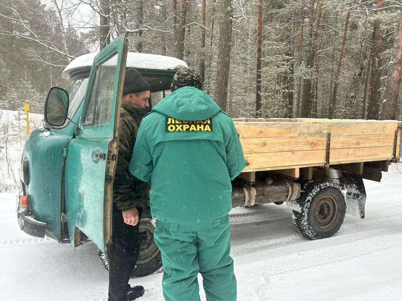 В Алтайском крае подведены итоги работы по охране хвойных молодняков