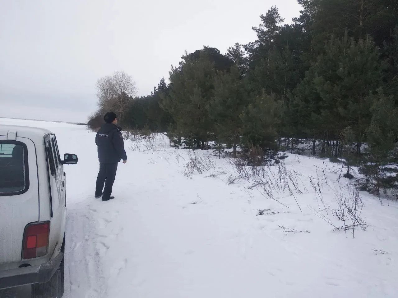 В Алтайском крае подведены итоги работы по охране хвойных молодняков В Алтайском крае подведены итоги работы по охране хвойных молодняков