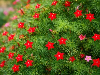 ���������: ��������� ����� ��� ������������� ����������