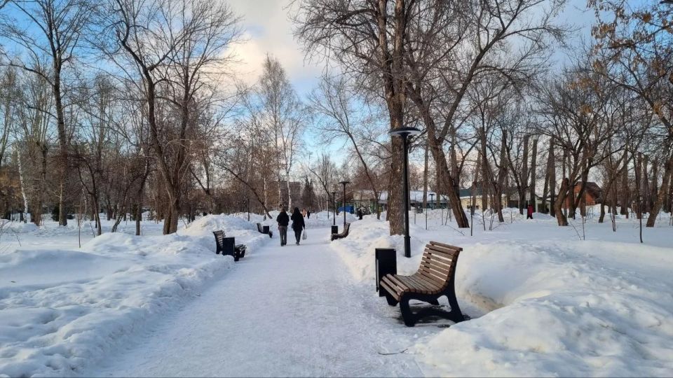 � 2026 ���� ���������� ���� ������������ 82 ������������ ����������