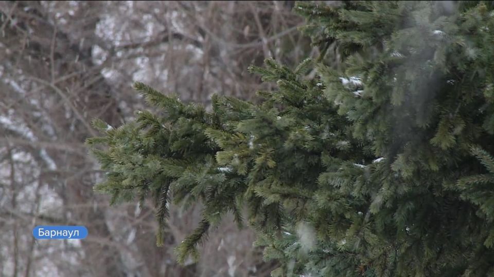 � ������������ ��� �� ����� ��������� ��������� ��������������