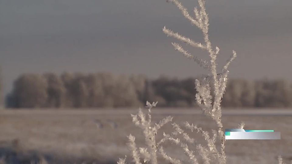 ������ ��-39 ��������: ��� ����������� �������