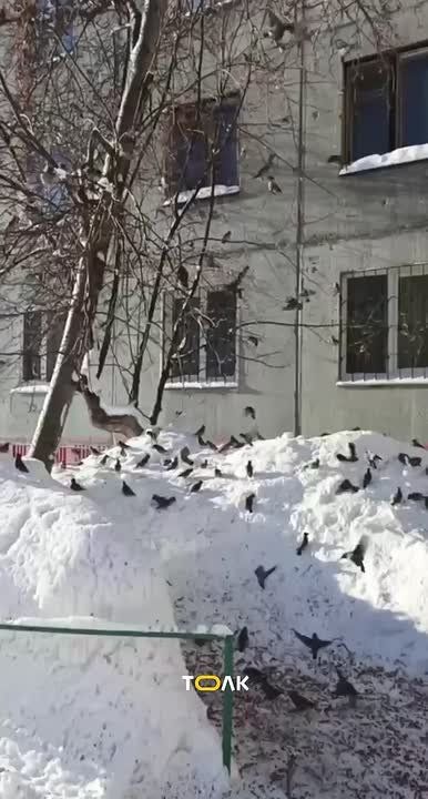 ���������� ��������� ������ � ����� �� ������������ ������