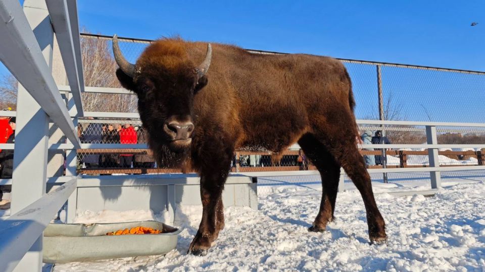 ���� ������� �� ������������� �������� � ������� ������� �� ��������� � �� ������ �����! �������� ������ ������������� � ������� ������ ��������, ���������� � �������� � ���������� ������� ������������ � ����� ��������