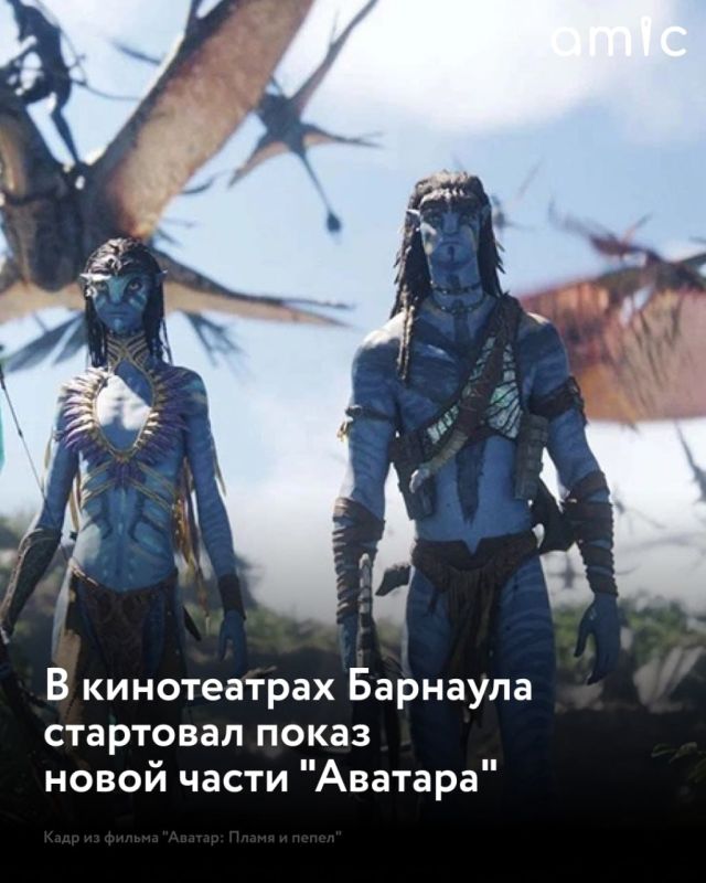 �������������� ���������� ������� �������� "������: ����� � �����" ������ ���������� � ����������� �������� 15 ������