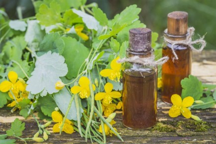 Масло чистотела: как создать натуральное средство для красоты и здоровья