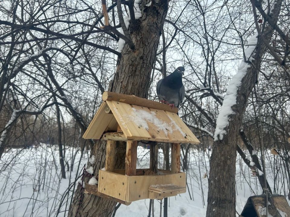 ���� �������� ���� �������� ��������