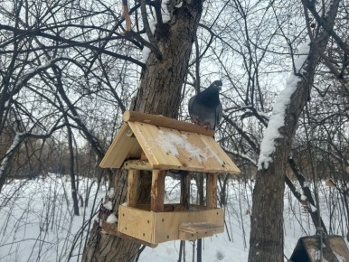 ���� �������� ���� �������� ��������