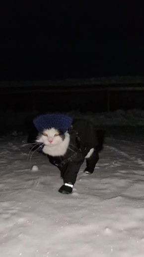 Доброе утро, Алтайский край!