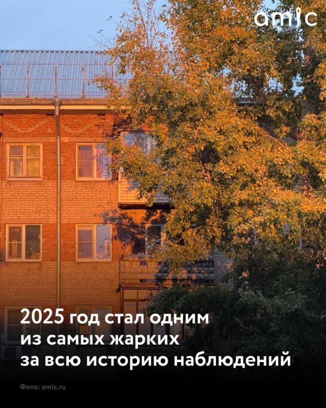 2025 ��� ����� � ������ ������� ����� ������� ��� �� ��� ������� ���������������