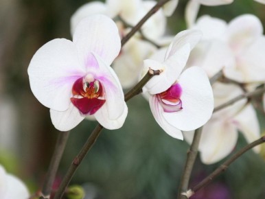 ��� ������� ������� ���������� ����: ������� ��������� �������� �� ���������