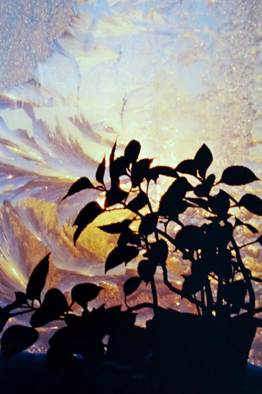 � �� �������, ����� ������ ����� �������� ����� �� ���������� �����?