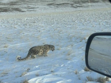 ������ ���������� ����� ��������� � ������ �������� �����