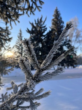 ���������� ��������� ��� �������� ������������ � ������ ������������� ������ ����