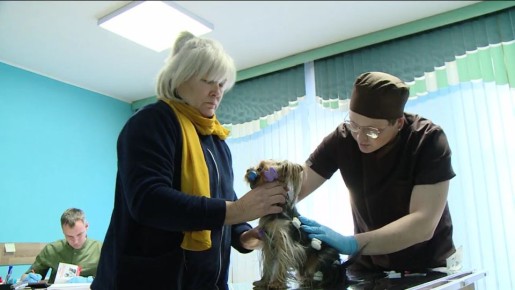 � ������� ���������� ��������� ������������ ������ ������ ������������ �������� ��������