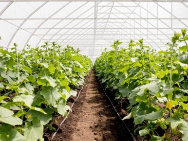 ��������� ������ ��� ��������� ����� ���������: �������� ������ � ��������