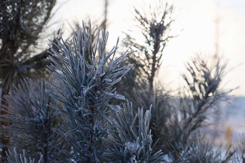 ����� � ����������� �����. ������������ � ��������� ���� �������� �� ������� ������������������ amic.ru