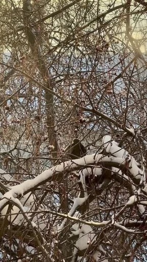 � �� �����-������ ������, ��� � ���� �� ����� ���� ���?