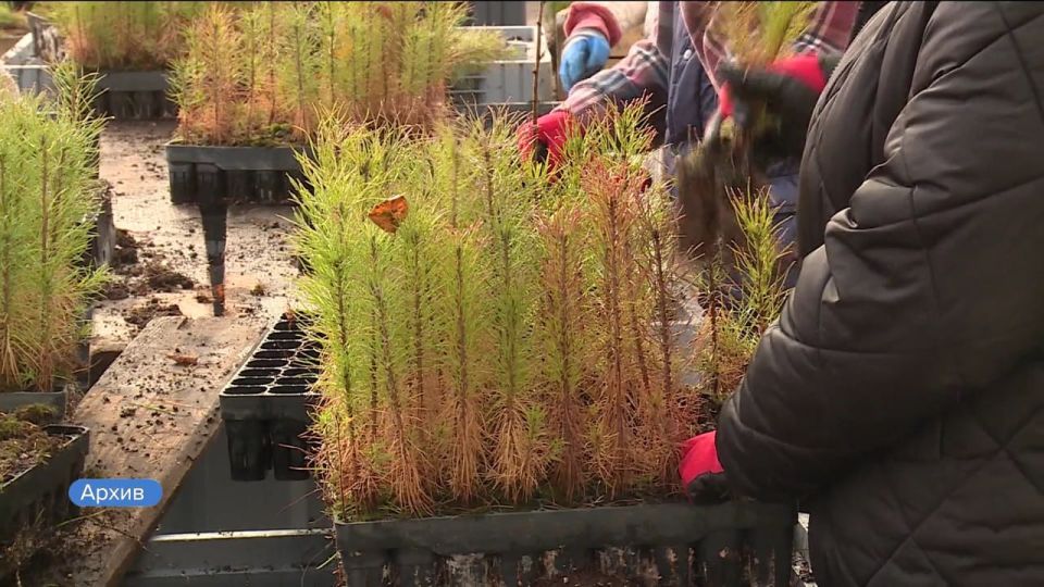 ��������� ���� ����� � ������ ����� �������� ��������-���������� ������������� �������� ��������� ���