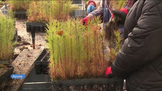 ��������� ���� ����� � ������ ����� �������� ��������-���������� ������������� �������� ��������� ���