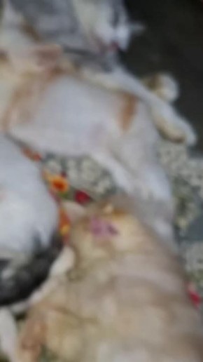 ������ ����, ��������� ����!�