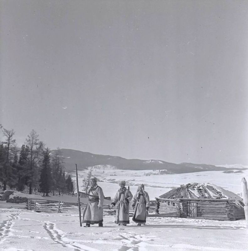 ������ ����� ����� � ��� ��� ������������ ����������