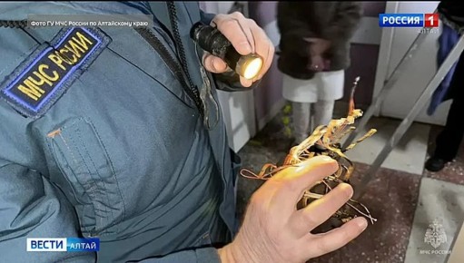 ����� �� ������ � ��������� ���� ������ �������� �������