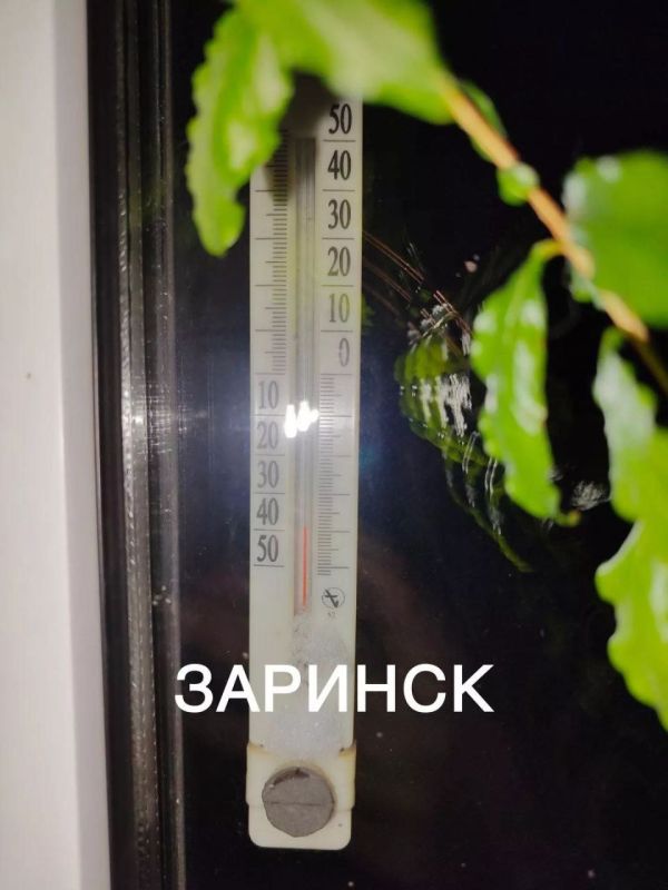 � ��������� ���� ������� ������� ������ � �� 50 ��������