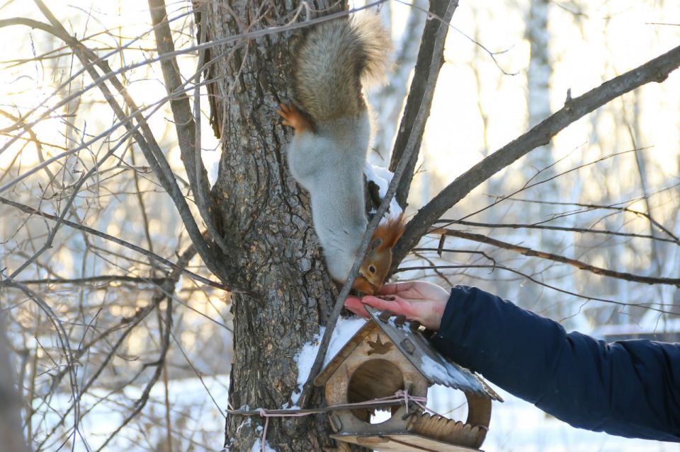 ������ �������� ���� � ������� ���� ��������!