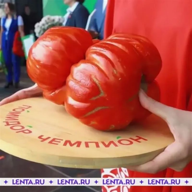 ������� �������: ��� � ��� ���������� ��������� ����� � ������