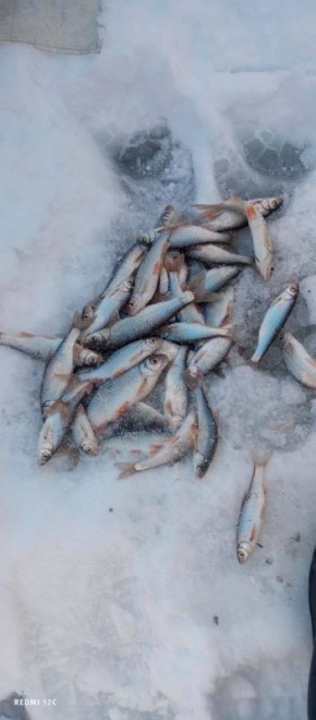 ������ ���������� ���� ����� ���� �������� �� ������