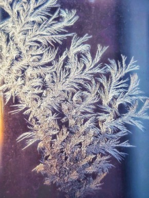 ���� ������������� ����� ������ ����� ����� ���������� ������������ ������� ������