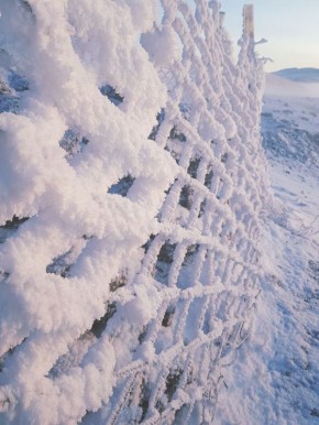 ������������ ������� ����������, ��� �������� ���-���� � �����