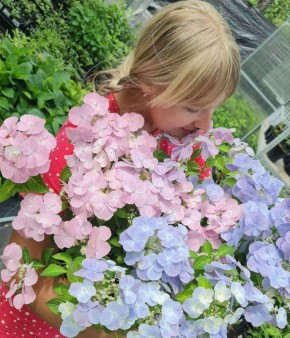 ��������� ���������: ������� 2026 ���� ��� ������ ����