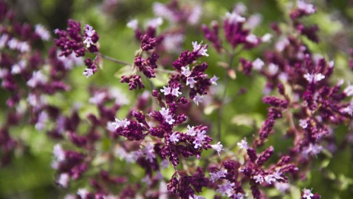 ������: ��� �������� ���������� ��� ��� � ��������� ������