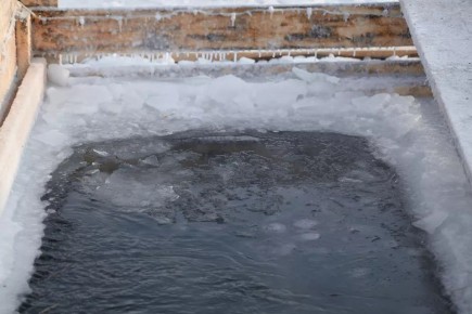 � �����-�������� �������� ���������� �������