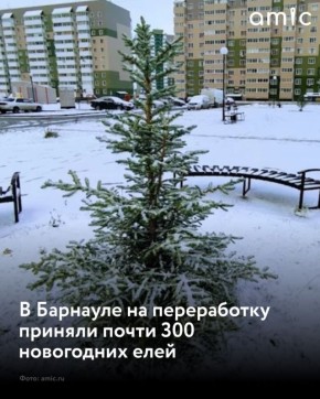 � �������� ����������� ��������� ������������� ����� �� ����� ���������� ���� ��� ����������� ����������� � �������� ����� 272 ������