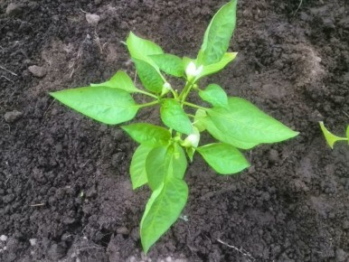 ������ ����� ��������� ����� � ������ ��������