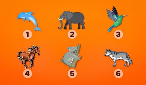 �������� ����: ��� ������� ��������� ����� ��������