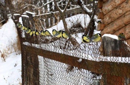 �������� ������ ��������� � ��������� � ��������� �����������