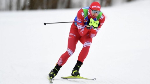 ���������� ������ ���������� ���� ������ ������� ������� ����������� ������ �� ������������� ��������� ������� ������ � ��������� (FIS)