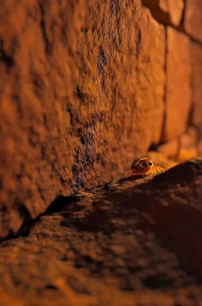 �� �����-������ ���������� ��������, ������, ������ � ���������, ��� ������������� �������, ������ � �������� � ��������� ������ ���?