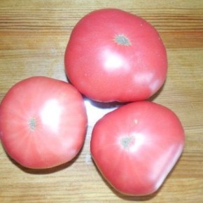 ������ ������� �� �������: ��� ������� ���������� ������?