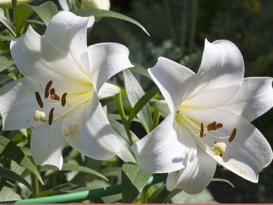 ����� � ����: ��� ��������� ������� � ���������� ���������� �����