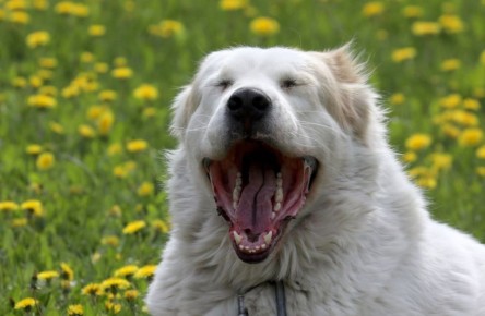 ����������� ���� �� ���������� �������� ��������