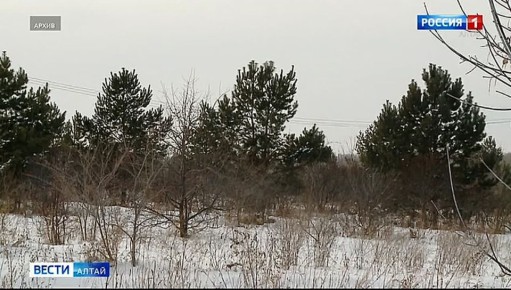 ����� ������ ��������� ������� � ���� ������� ���������� ����