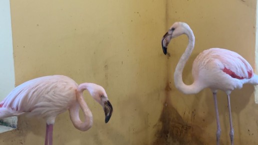 ��� ������� ������������� �������� ��������� ���������� ������