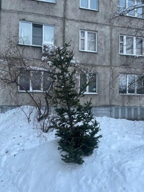 ����� ������ ���� �������� ���������� ������� ����