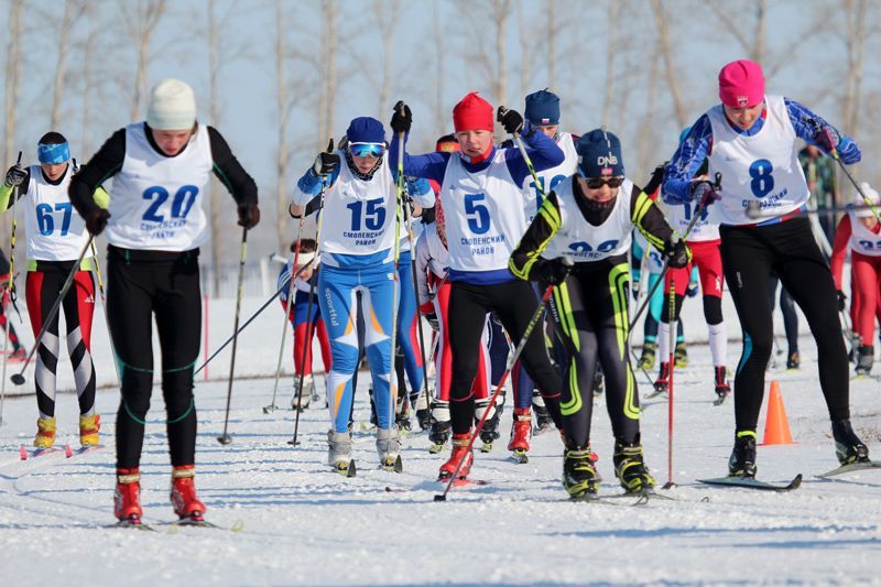 � ������ ������������ 2016 ����